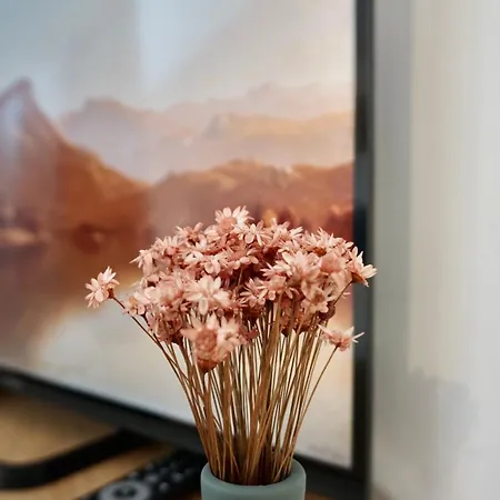 Neu Stylisches Fuer 2 Personen In Historischem Fachwerkhaus 4 Etage Mit Blick Auf Stadt & Festung * Koblenz (Rhineland-Palatinate)