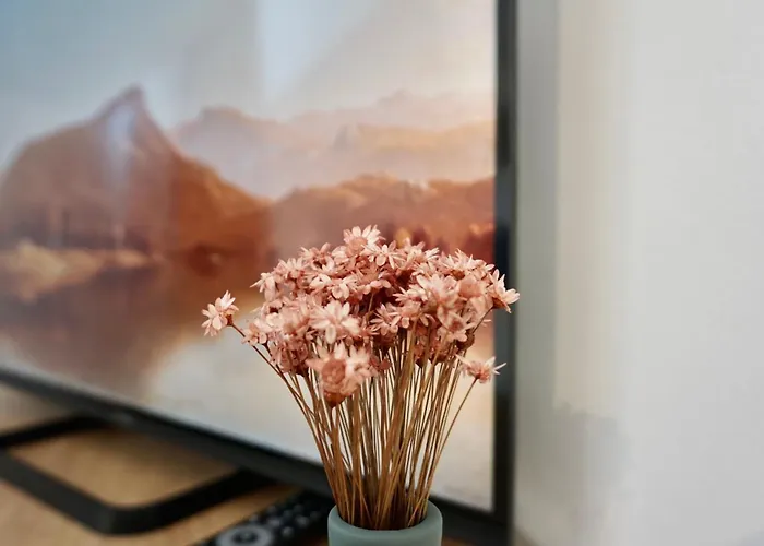 Stylisches Fuer 2 Personen In Historischem Fachwerkhaus 4 Etage Mit Blick Auf Stadt & Festung * Koblenz (Rhineland-Palatinate)